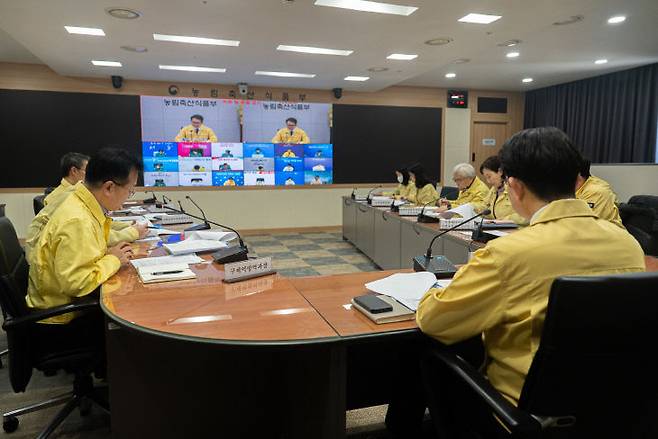 지난 13일 김종구 농식품부 차관 주재의 중수본회의 모습.