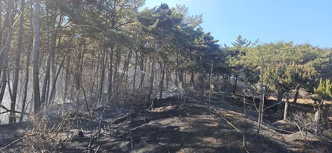2월 19일 오후 1시 32분께 대전 유성구 대정동 야산에서 발생한 산불로 산림이 일부 소실됐다.  (사진=대전소방본부 제공)
