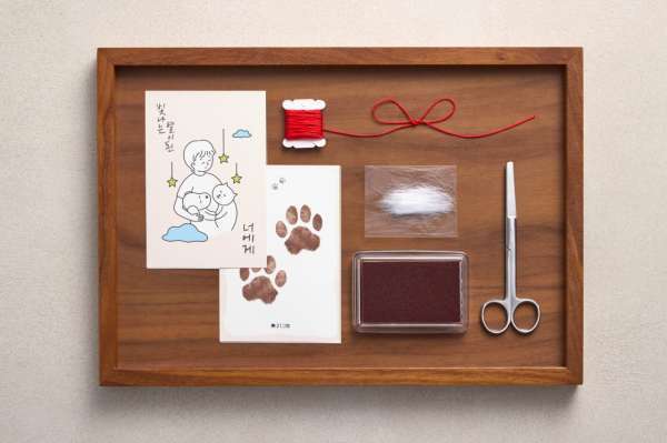 천안시, 취약계층 '반려동물 장례비 30만원' 지원