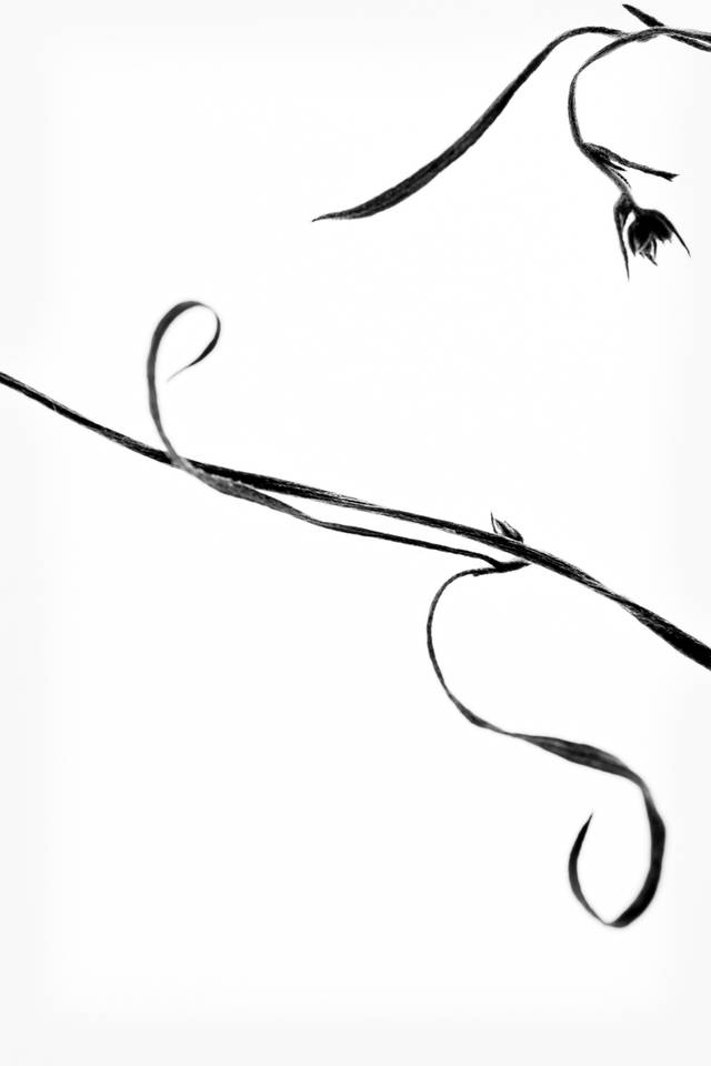 주재범 작, '_존재의 형태'. 아트스페이스 루모스 제공