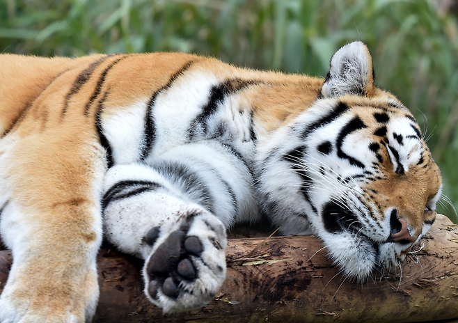 기사와 관련 없는 사진, 게티이미지뱅크.