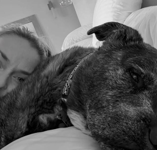 반려견 레오의 죽음을 전한 린지 본의 인스타그램 [린지 본 인스타그램 캡처. 재판매 및 DB 금지]