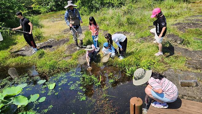 제주 선흘2리 흐린내생태공원 습지 교육 현장 [제주도교육청 제공. 재판매 및 DB 금지]