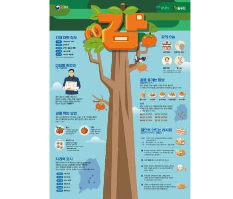 산림청, 2월 이달의 임산물로 '감' 선정