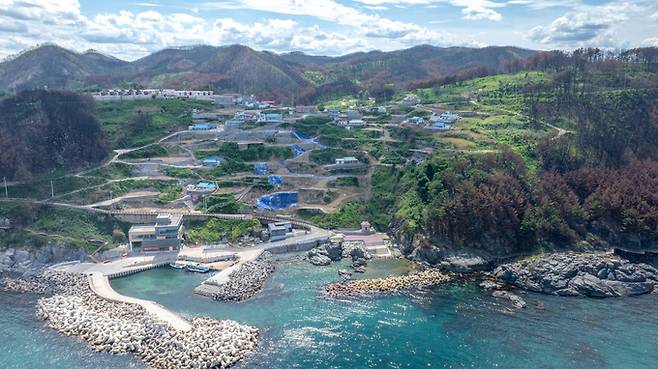 ▲ 산불의 아픔에서 회복하고 있는 영덕읍 석리 모습.