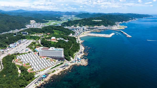 ▲ 경북 스마트 수산가공 종합단지와 어촌신활력 증진사업의 주요 거점이 될 강구항 일대 전경.