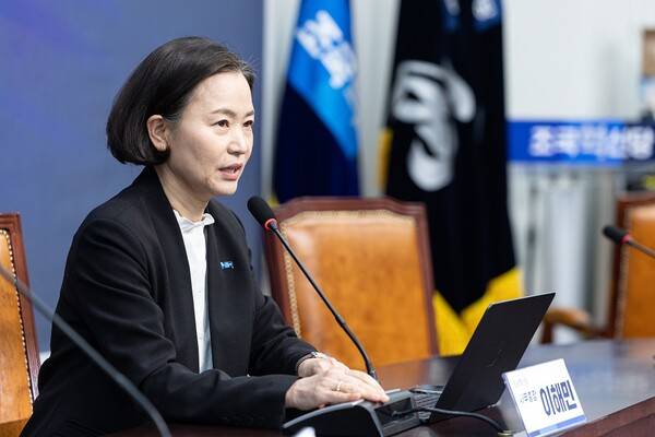 이해민 조국혁신당 사무총장이 2월 1일 서울 여의도 국회에서 더불어민주당의 합당 제안 등과 관련 현안 기자간담회를 하고 있다. / 뉴스1