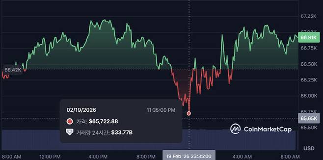 비트코인이 19일 밤 6만5000달러대까지 하락했다가 현재 6만6000달러대를 기록하고 있다. (사진=코인마켓캡)