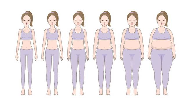 체중과 뇌 건강이 직결된다는데, 그렇다면 어느 정도부터 문제가 되는 걸까? 사진=클립아트코리아