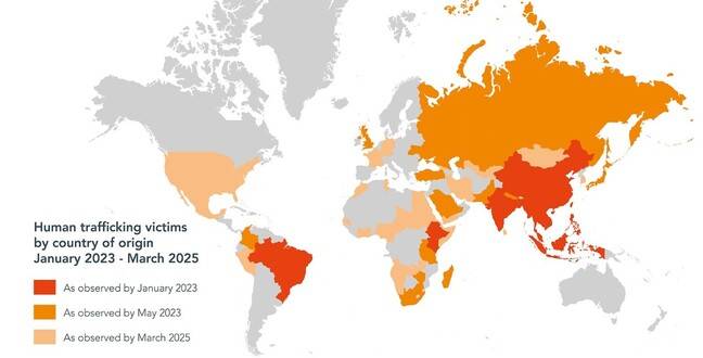 유엔인권최고대표사무소가 공개한 보고서 스토리맵에 실린 인터폴 자료로, 2023년 1월부터 2025년 3월까지 온라인 사기 조직에 인신매매된 피해자 기록 그래픽. 유엔 누리집 갈무리