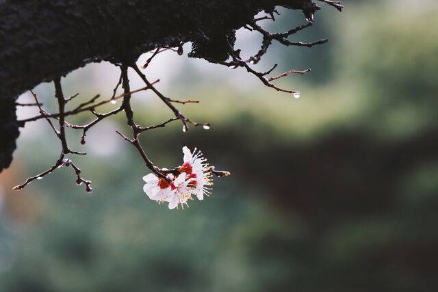 클립아트코리아