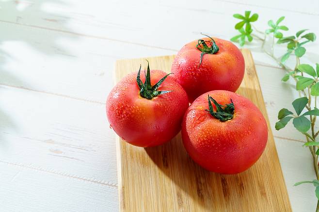 토마토는 냉장보다 실온 보관이 맛과 식감 유지에 유리하다. 게티이미지뱅크