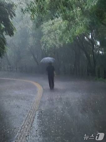 오세훈 서울시장이 지난여름 폭우가 쏟아지던 날 남산 북측 순환로를 걷고 있다.