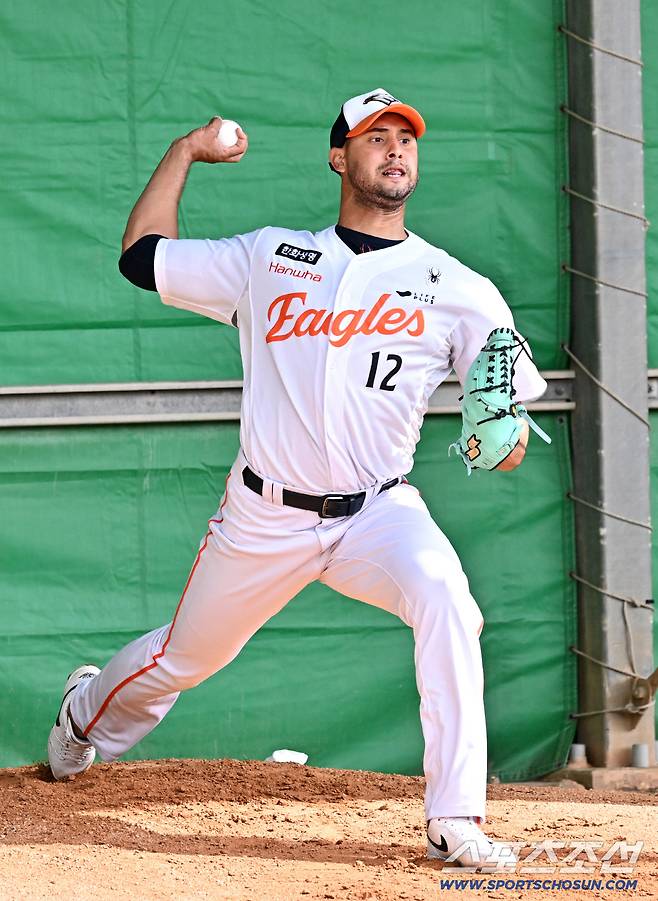 최고 구속 156km 강속구 투수 에르난데스.