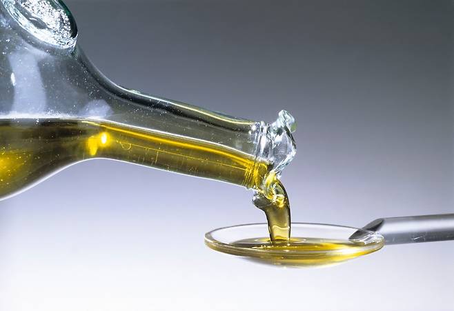 고온이나 화학 처리를 하지 않고 추출한 엑스트라 버진 올리브 오일이 장내 미생물 환경을 개선해 인지 기능 저하를 막는 데 도움을 줄 수 있다는 연구 결과가 나왔다./사진=클립아트코리아