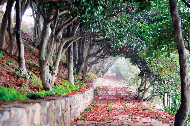 경남 통영 장사도 해상공원 / 사진 = 경남도