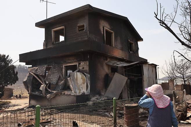 산불 피해를 입은 경북 의성군 점곡면 한 민가에서 주민이 폐허로 변한 집을 살펴보고 있다. [뉴시스]