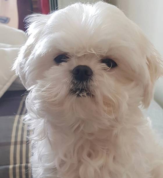 꽃분이/사진=구성환 인스타그램