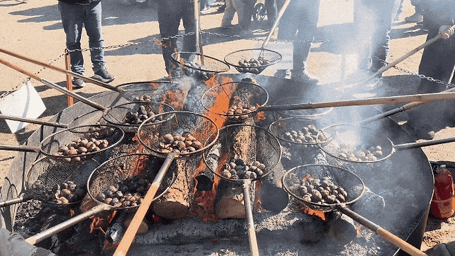 겨울공주 군밤축제 군밤굽기 / 사진= 문서연 여행+ 기자