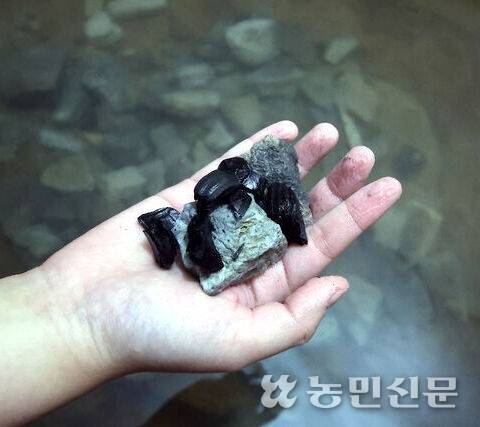 해수에 넣는 돌은 인근의 유황돌이다. 유황 성분이 피부에 은은한 윤기를 더한다.