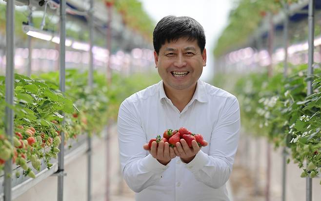 박대성 에스피아그리 대표가 충남 서산 스마트팜 사계절 딸기 농장에서 딸기를 들어 보이고 있다.