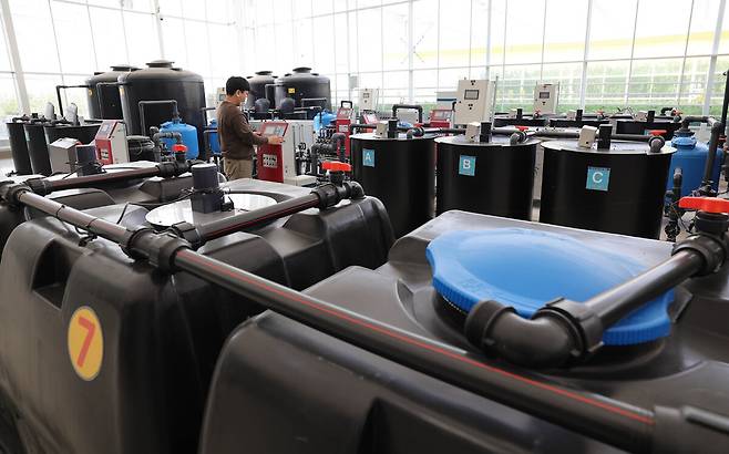 전북 김제 스마트팜 혁신밸리에서 크로프트 직원이 자동 양액 공급기를 확인하고 있다.