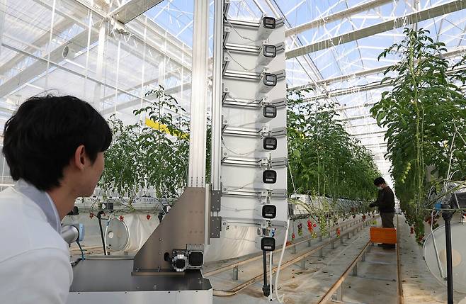 전북 김제 스마트팜 혁신밸리에서 한 직원이 영상 기반 생육 분석 로봇을 운영하고 있다.