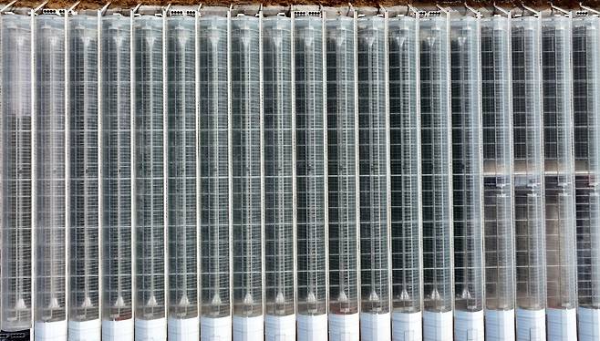 에스피아그리가 충남 서산에 4,700평 규모의 대형 비닐하우스형 스마트팜을 운영하고 있다.