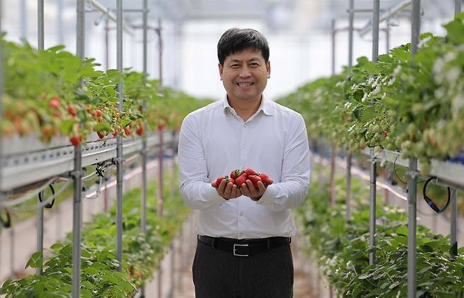 박대성 에스피아그리 대표가 충남 서산 스마트팜 사계절 딸기 농장에서 딸기를 들어 보이고 있다.
