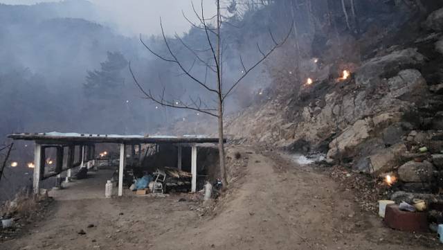 23일 오전 6시 50분 함양군 휴천면 백연마을 모습. 불길이 확산하면서 비닐하우스 등이 불에 탔다. 함양군 제공