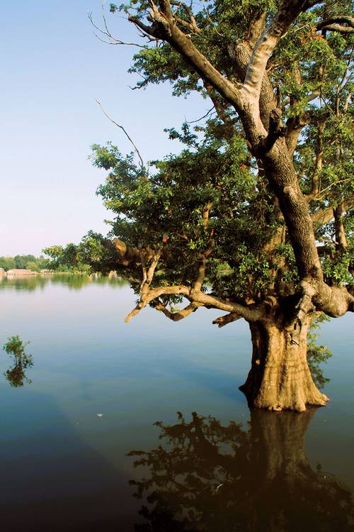 자연 치유의 장소로 유명한 타웅타만 호수