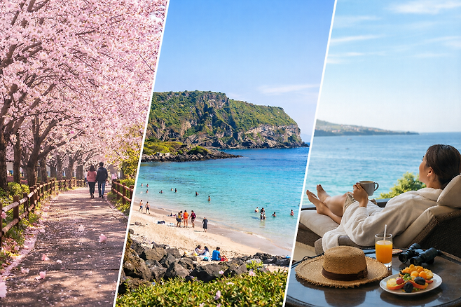 벚꽃길과 제주 바다, 숙소에서의 휴식까지. 봄 여행이 ‘머무는 경험’으로 이동하고 있음을 보여주는 이미지.