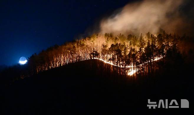 [함양=뉴시스] 차용현 기자 = 22일 오후 경남 함양군 마천면 창원리 야산에서 산불이 강풍을 타고 계속 번지고 있다. 2026.02.22. con@newsis.com