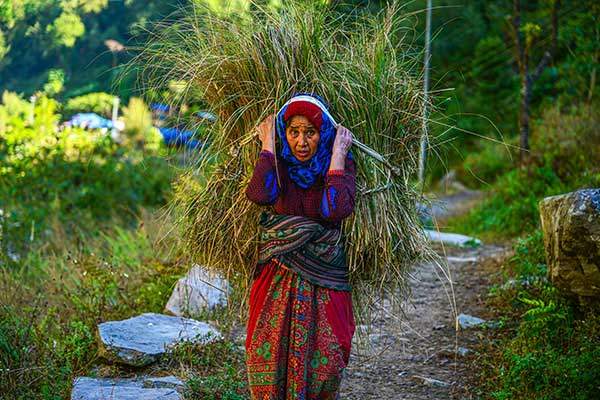 비히마을(1,990m)에서 염소먹이 풀을 지고 오는 현지 여인.
