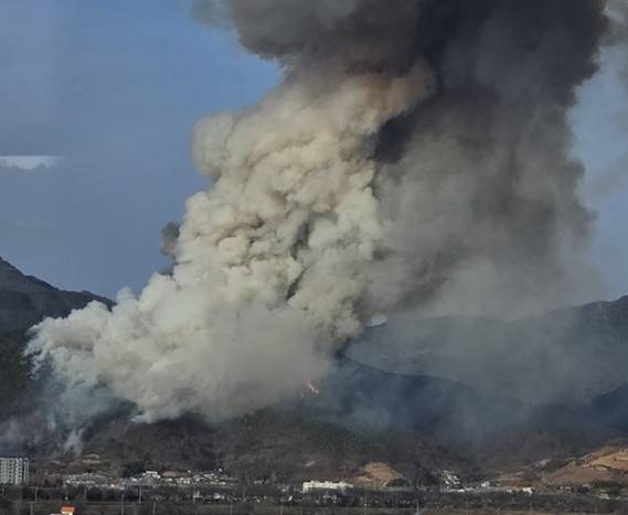 산불 현장 [독자 제공. 재판매 및 DB 금지]