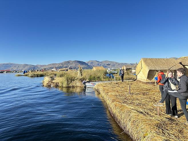 티티카카호 갈대로 만든 우로스 섬. /필자 제공