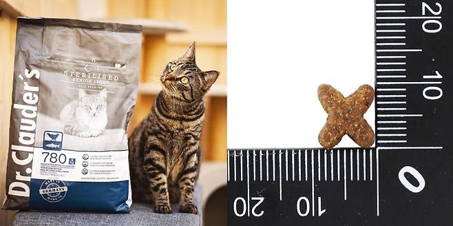 독일 펫푸드 브랜드 닥터클라우더가 고양이 사료 제품군을 국내에 선보였다(강원지주 제공). ⓒ 뉴스1