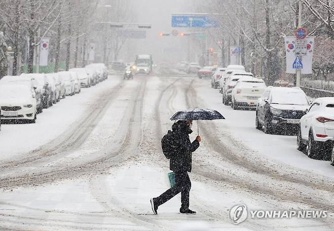 대전·세종·충남 남부권에 대설주의보가 발효된 24일 오전 대전 서구 둔산동에 함박눈이 내리고 있다. 연합뉴스