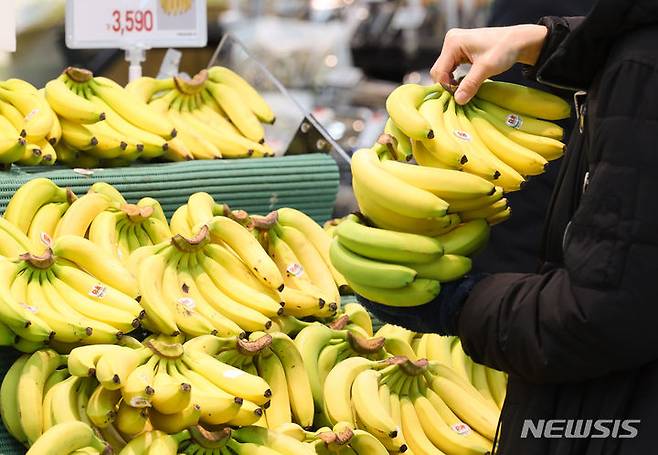[서울=뉴시스] 황준선 기자 = 26일 서울 시내 한 대형마트의 수입과일 매대 모습. 농림축산식품부에 따르면 장바구니 물가 완화를 위해 할당관세가 적용된 수입 과일의 도매가격이 바나나 9%, 망고 23.5%, 자몽 17% 등 크게 하락한 것으로 나타났다.  2023.12.26. hwang@newsis.com