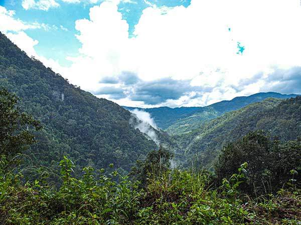 수시로 몰려와 차산을 휘감는 운무.