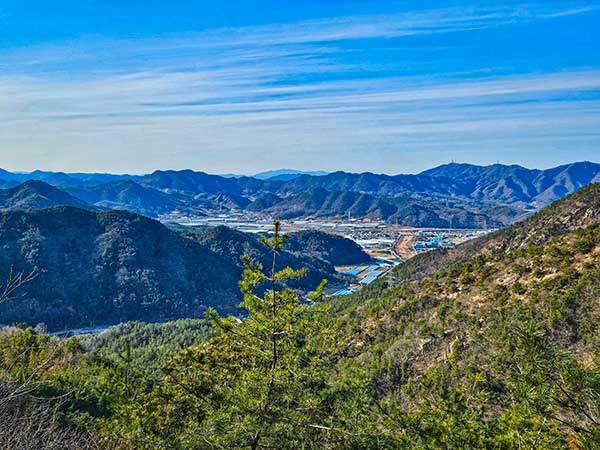 나무 사이로 장령산 너머 서대산이 가깝게 다가오며, 열린 조망으로 식장지맥의 능선이 시원스레 펼쳐져 보인다.