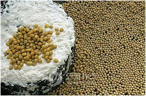 맷돌 위의 콩 [연합뉴스 자료사진]