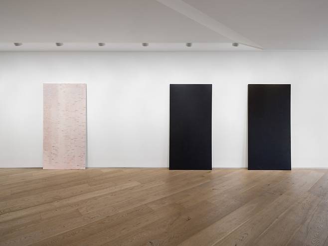 '거리의 윤리' 전시 전경 서울 한남동 타데우스 로팍 서울에 전시 된 마리아 타니구치 작가의 작품들.
[타데우스 로팍 서울 제공. 재판매 및 DB 금지]