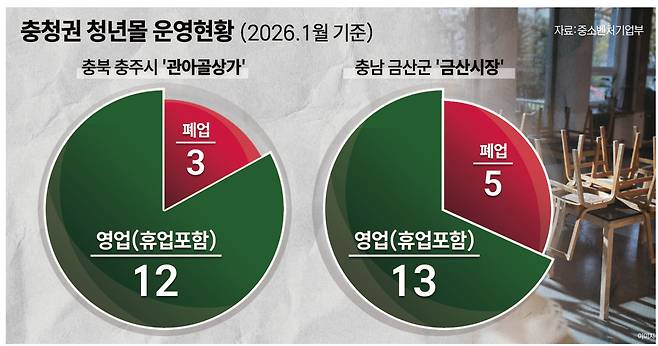 충청권 청년몰 운영현황. 충청투데이 그래픽팀.