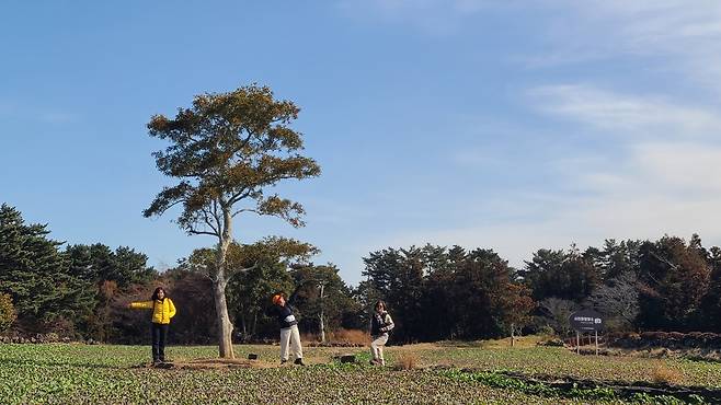 올레길을 걷다 만난 나무가 이뻐서 포즈를 취했다. 제주 유채가 한창 자라고 있었다.