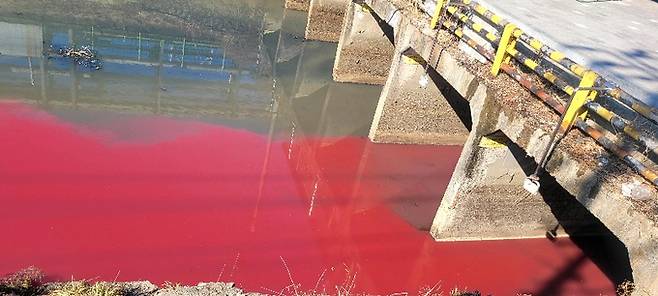 ▲ 지난해 2월 대구 서구 염색산업단지 내 하수관로에서 폐수가 유출된 모습. 경북일보DB