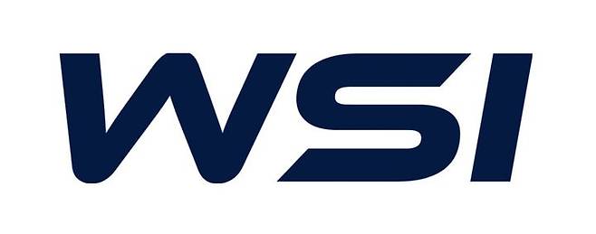 더블유에스아이 CI. (이미지=더블유에스아이)