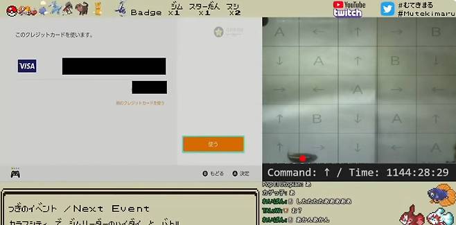 주인의 결제 정보까지 공개해버린 물고기 / Mutekimaru Channel 채널 영상 갈무리