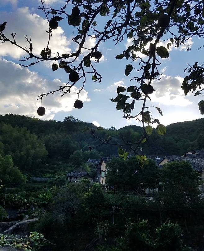 진단근 대사의 작업실이 있던 중국 용천시 산자락. 작가 제공