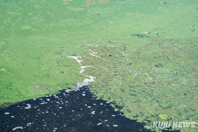 쿠키뉴스 자료사진